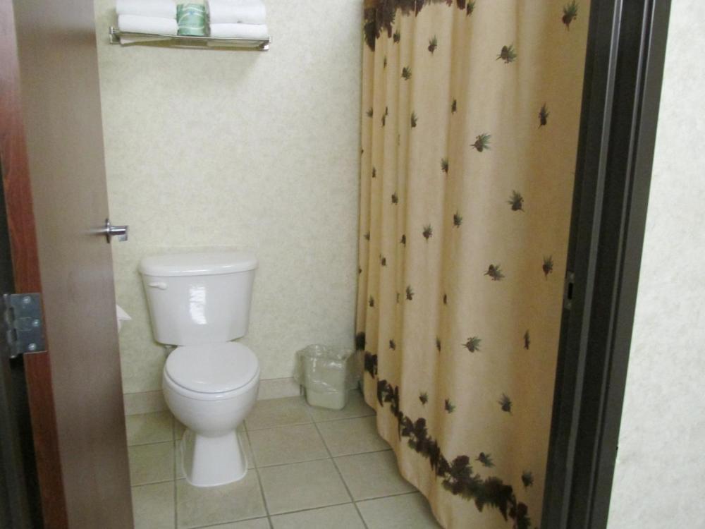 Business Suite interior